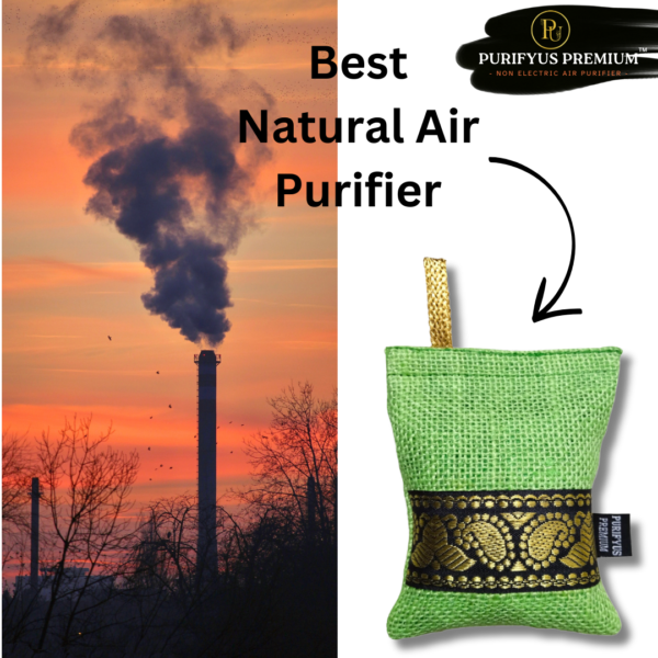 Purifyus Premium Green Granule I 100 Gram I Activated Carbon Air Purifying Bag | Natural Odor Absorber For Clean And Fresh Indoor Air - Image 5