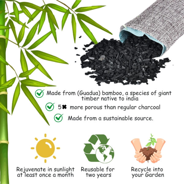 Shoe Deodorizer Activated Bamboo Charcoal Non-electric - Image 9