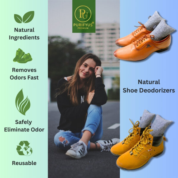 Shoe Deodorizer Activated Bamboo Charcoal Non-electric - Image 4